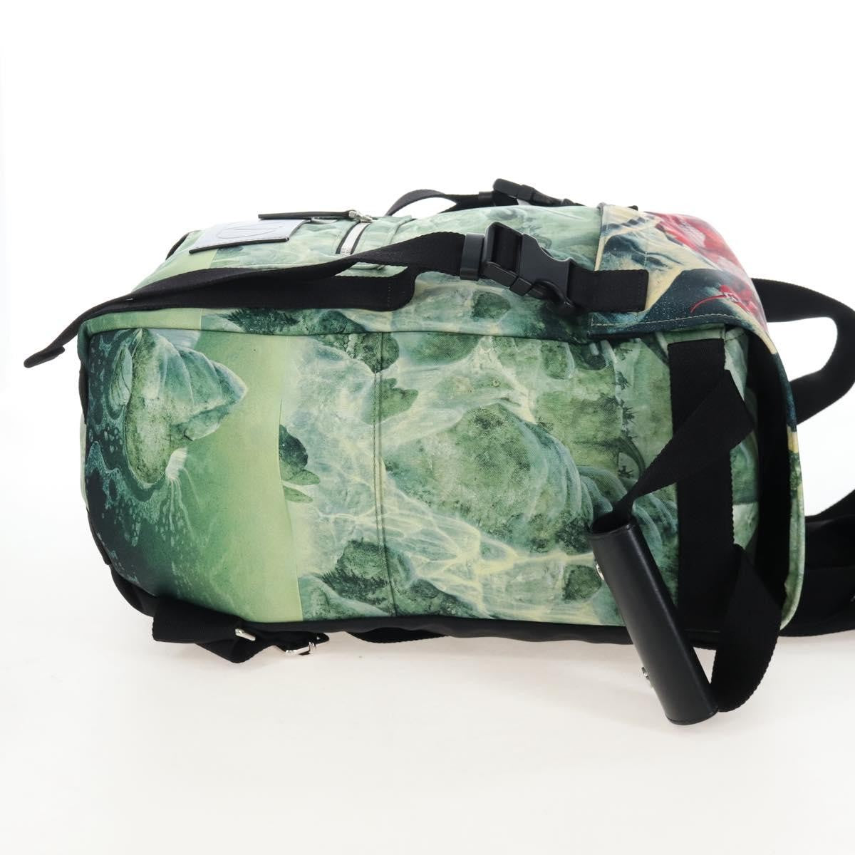 Valentino Garavani X Roger Dean Dragon Printed Nylon Green Nylon Backpack Bag (Pre-Owned)