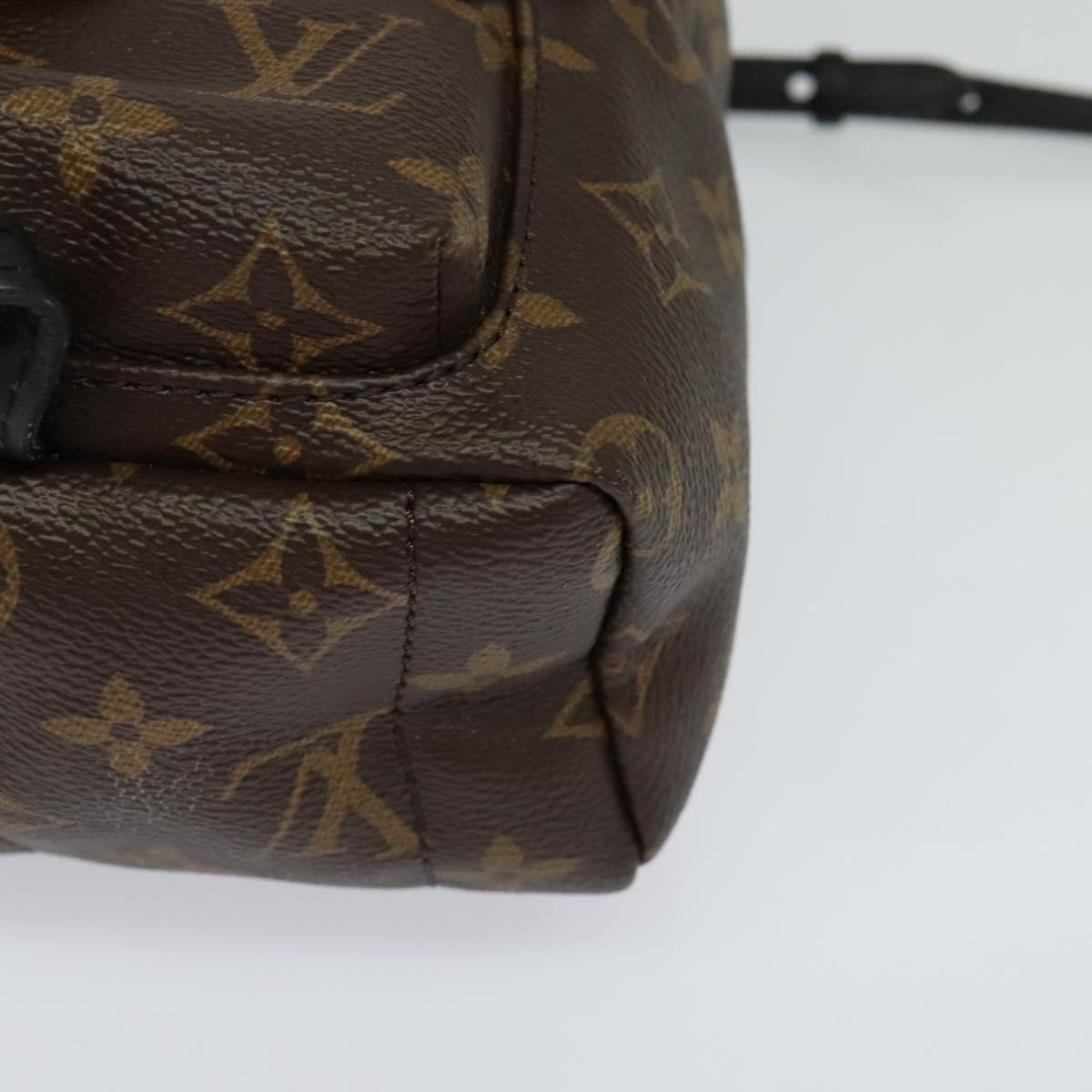 Louis Vuitton Palm Springs Monogram Canvas Brown Canvas Backpack Bag (Pre-Owned)