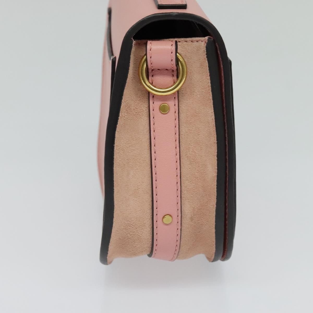 Chloe Nile Leather Pink Leather Handbag (Pre-Owned)