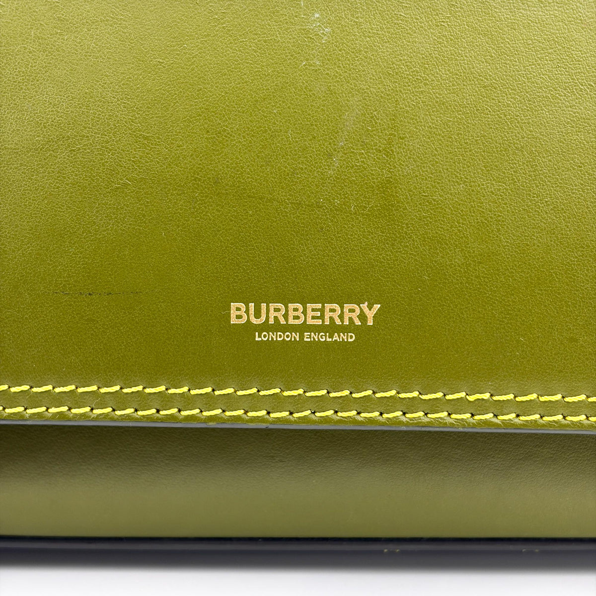 Burberry Title Pocket Leather Green Calfskin Crossbody Bag Bag (Pre-Owned)