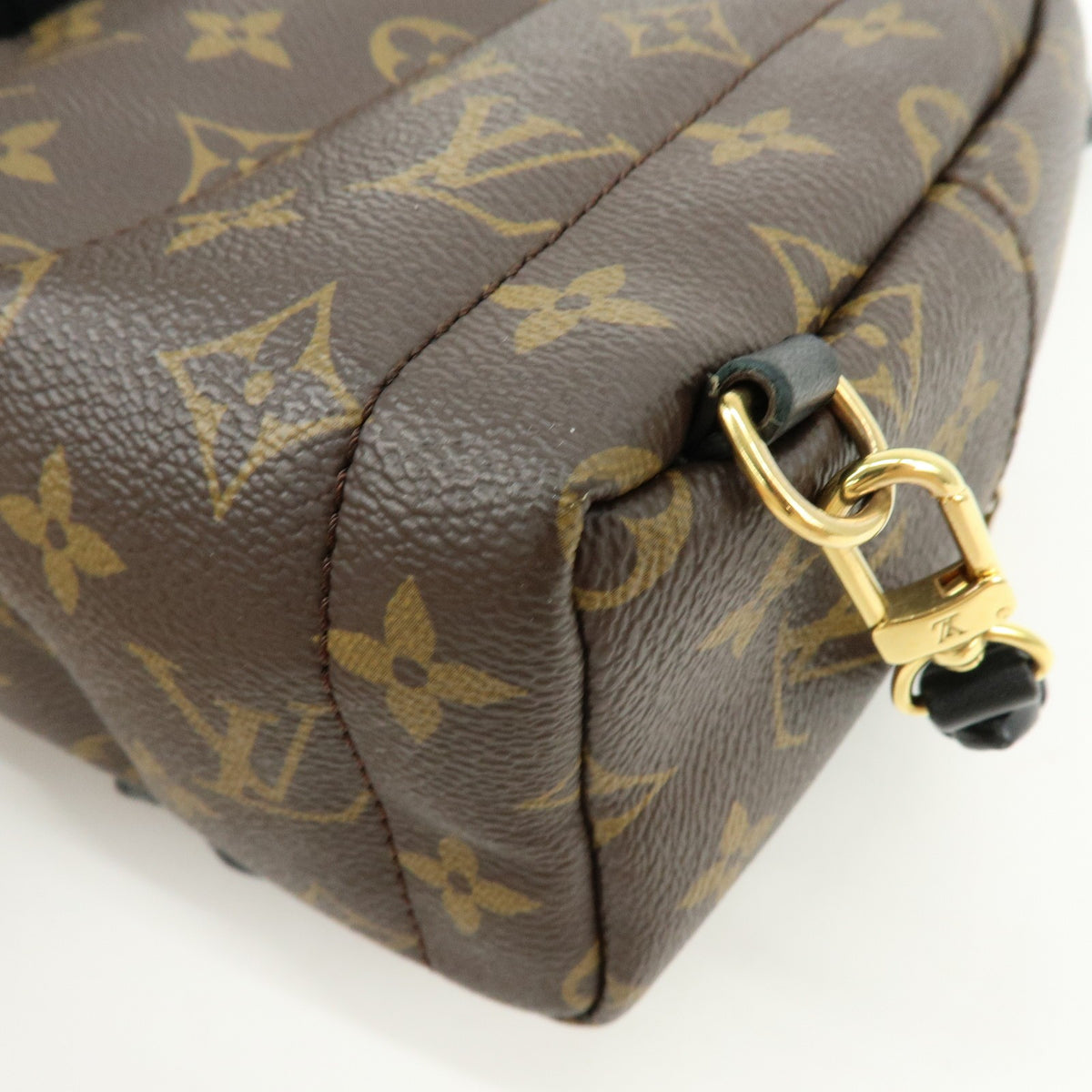 Louis Vuitton Palm Springs Monogram Canvas Brown Canvas Backpack Bag (Pre-Owned)