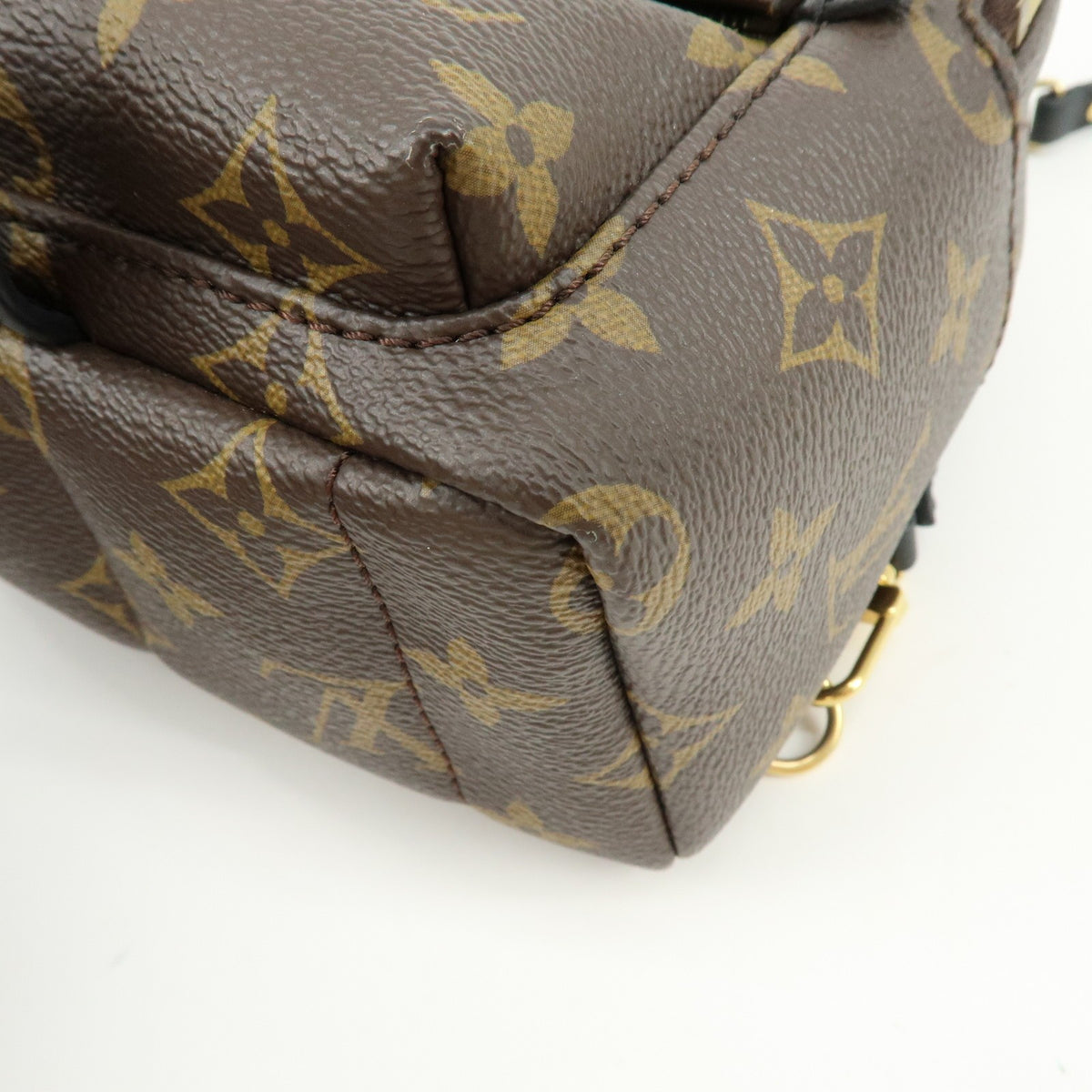Louis Vuitton Palm Springs Monogram Canvas Brown Canvas Backpack Bag (Pre-Owned)