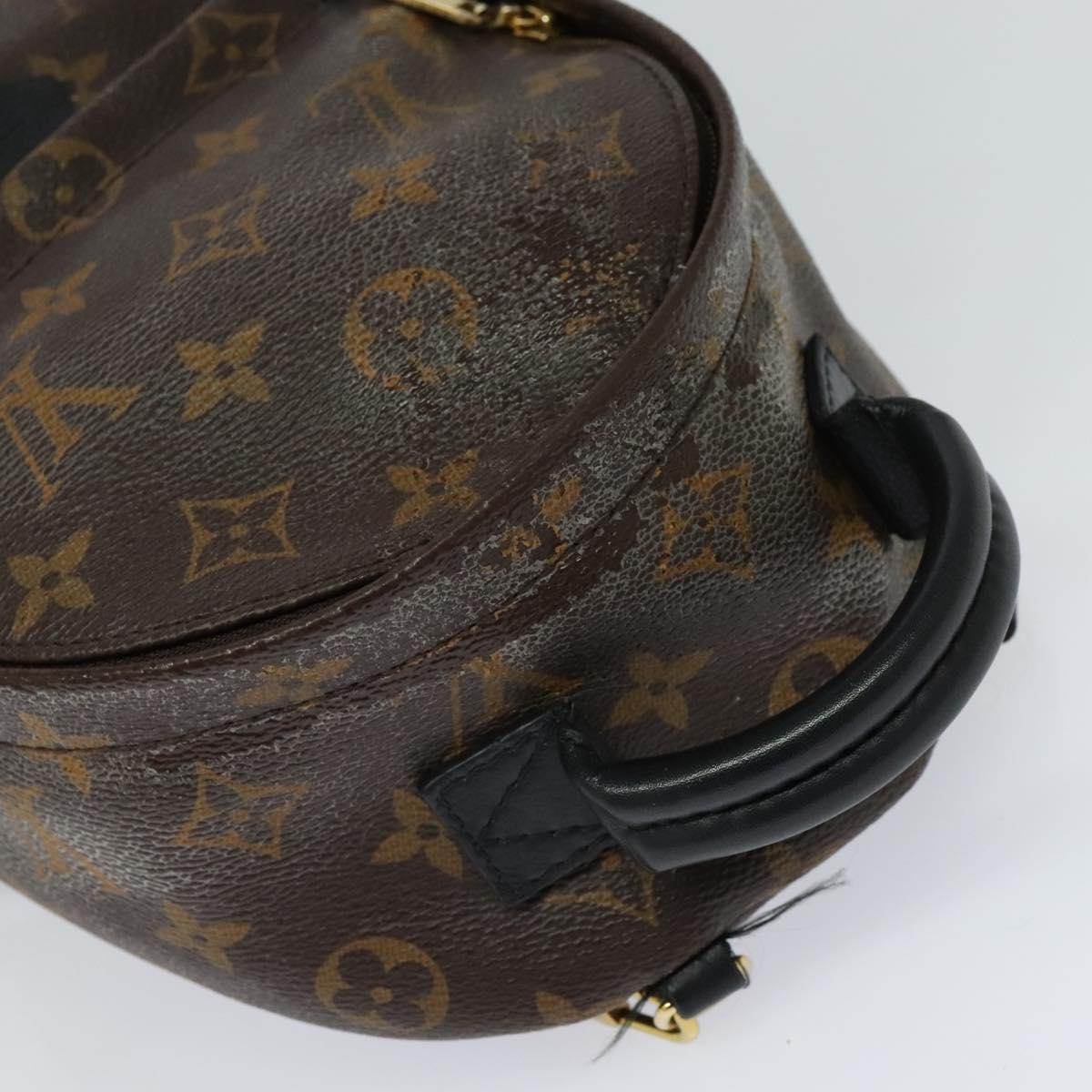 Louis Vuitton Palm Springs Mini Brown Canvas Backpack Bag (Pre-Owned)