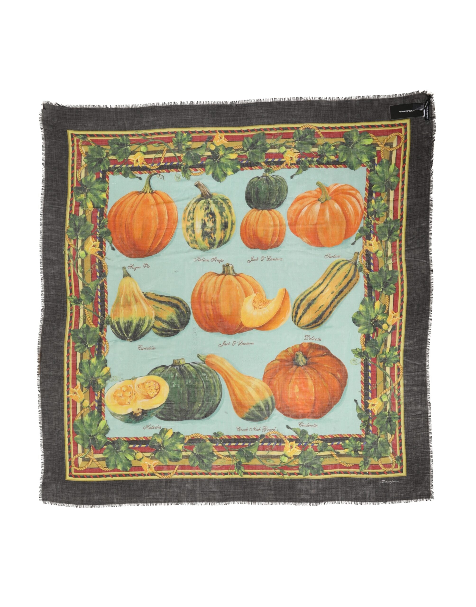 Dolce & Gabbana Multicolor Pumpkin Cashmere Stole 137cm x 133cm Women's Scarf (Pre-Owned)