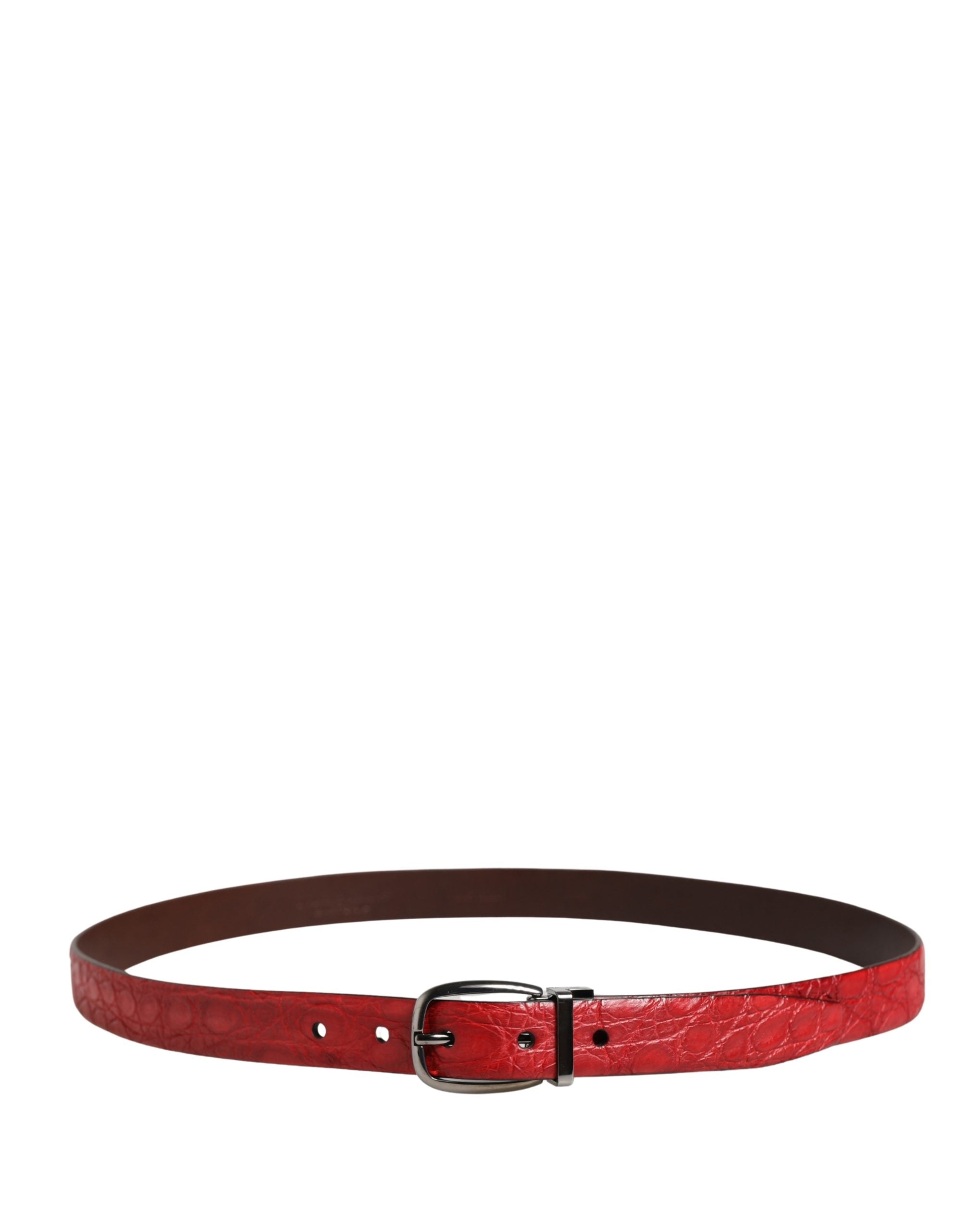 Dolce & Gabbana Men Red Exotic Leather Metal Buckle Men's Belt (Pre-Owned)