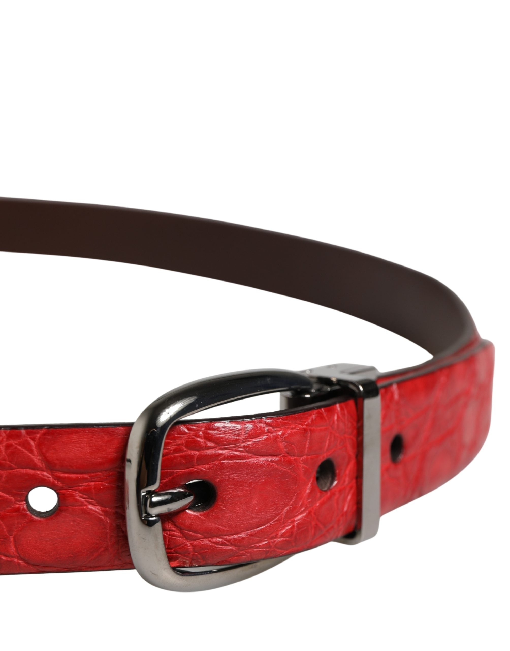 Dolce & Gabbana Men Red Exotic Leather Metal Buckle Men's Belt (Pre-Owned)