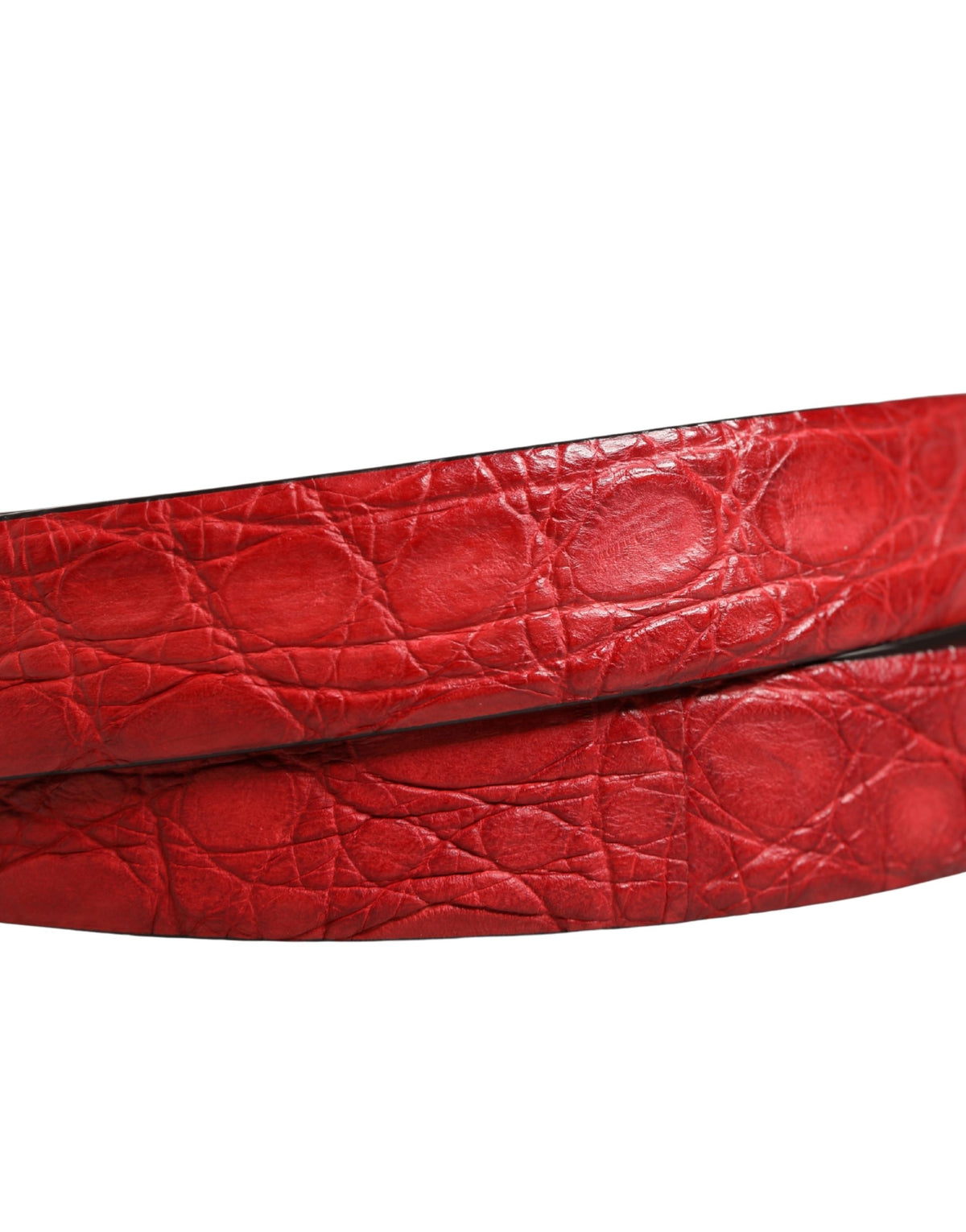 Dolce & Gabbana Men Red Exotic Leather Metal Buckle Men's Belt