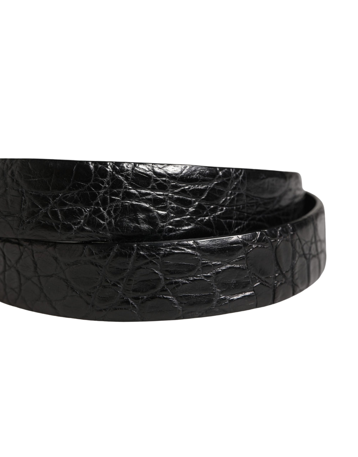 Dolce & Gabbana Men Black Exotic Leather Metal Buckle Men's Belt (Pre-Owned)