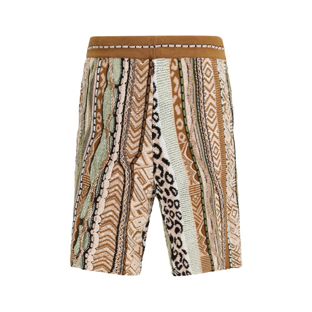 Laneus Multicolor Cotton Bermuda Men's Shorts