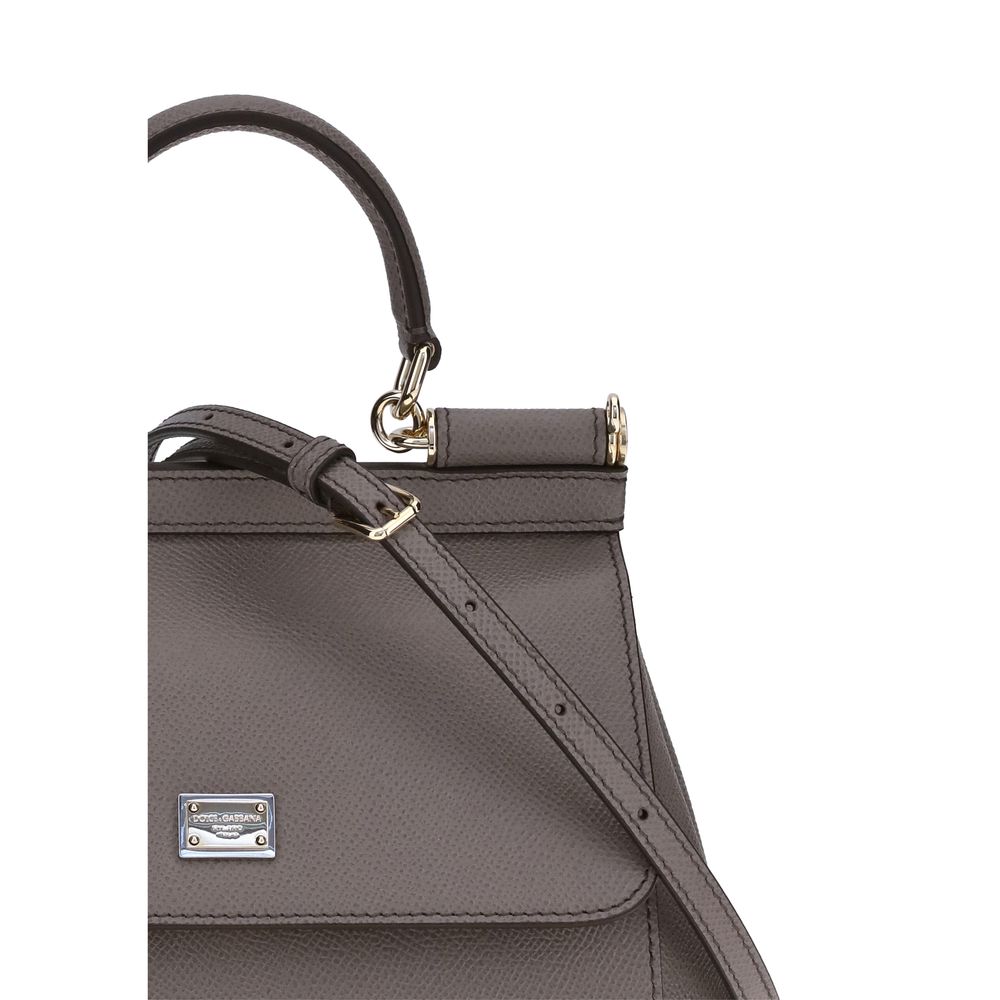 Dolce & Gabbana Gray Calf Leather Bos Taurus Shoulder Women's Bag