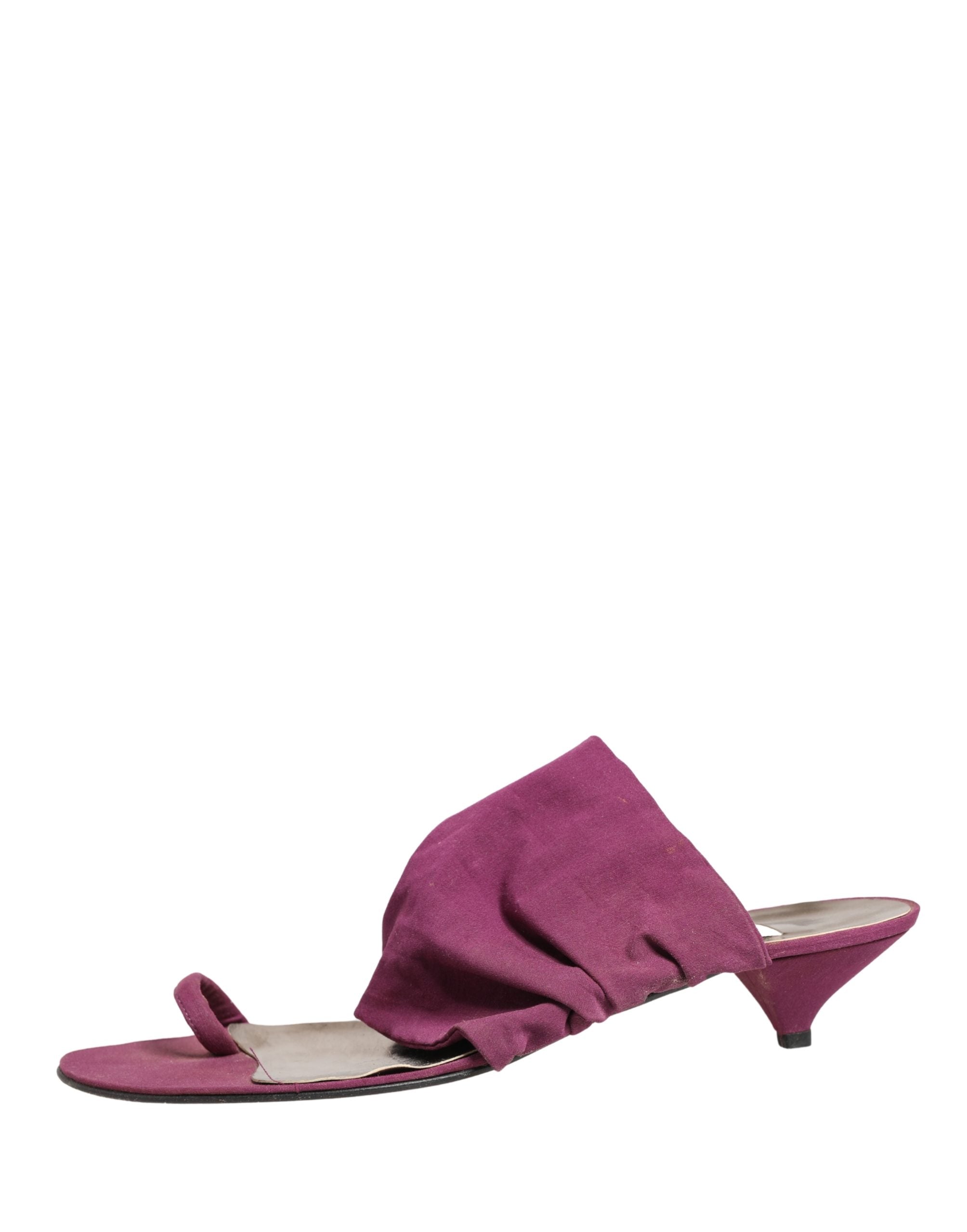 Dolce & Gabbana Violet Heels Sandals Women's Shoes (Pre-Owned)