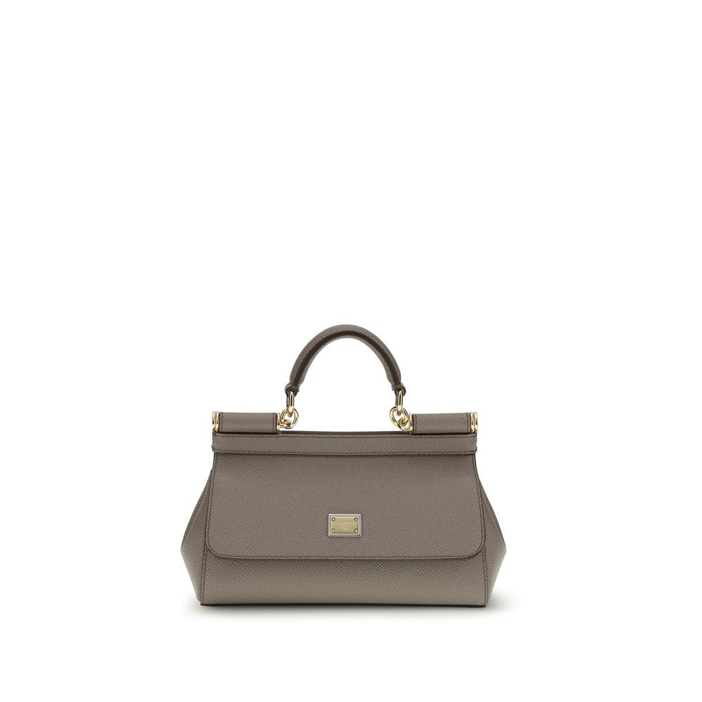 Dolce & Gabbana Gray Calf Leather Bos Taurus Women's Handbag