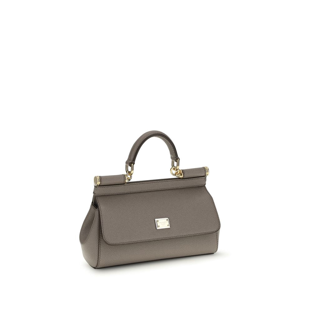 Dolce & Gabbana Gray Calf Leather Bos Taurus Women's Handbag