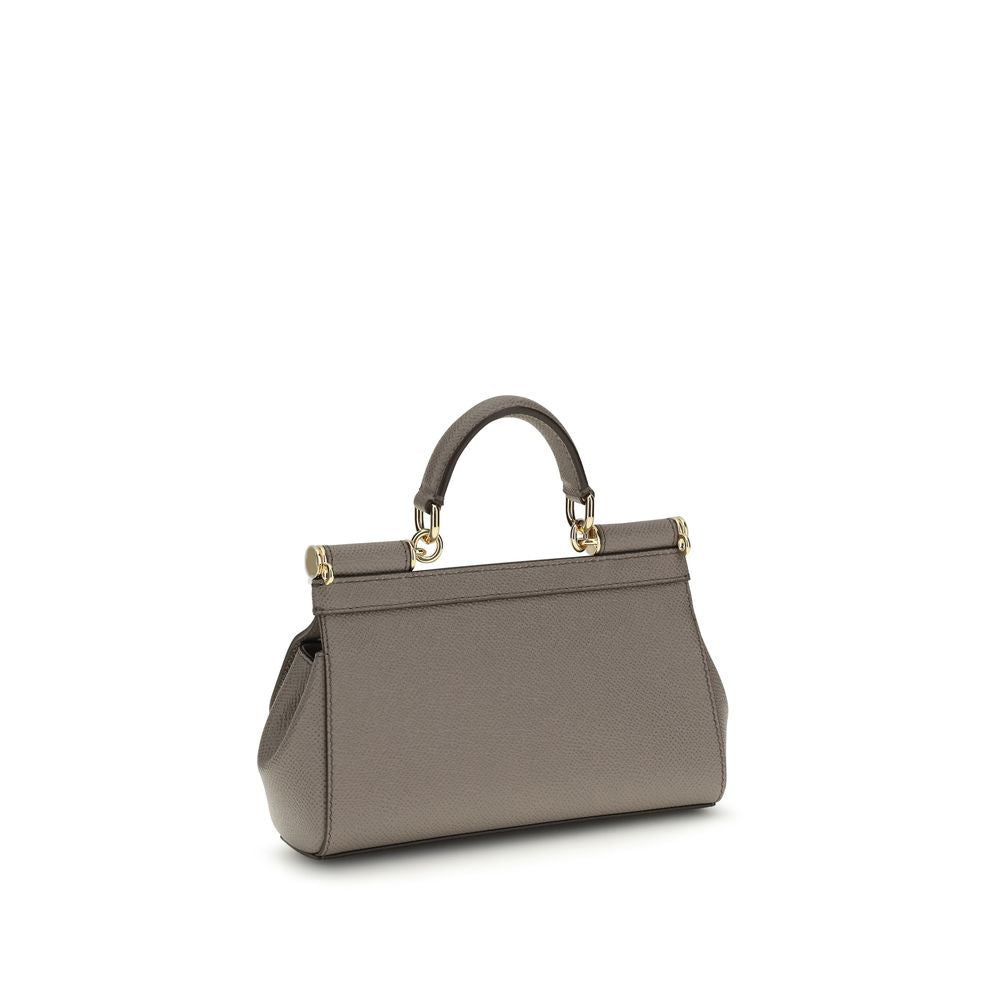 Dolce & Gabbana Gray Calf Leather Bos Taurus Women's Handbag