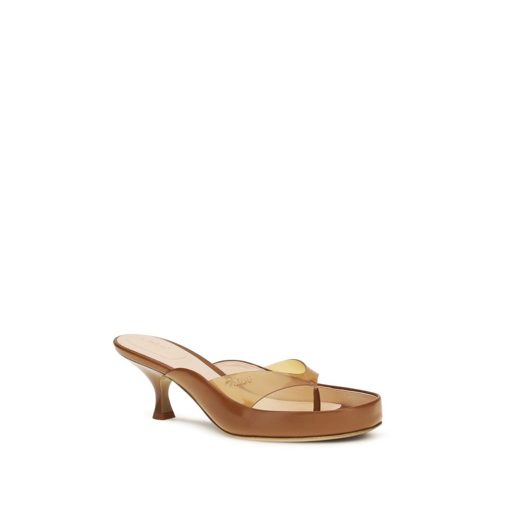 Chloé Brown Calf Leather Bos Taurus Stiletto Heel Women's Sandals