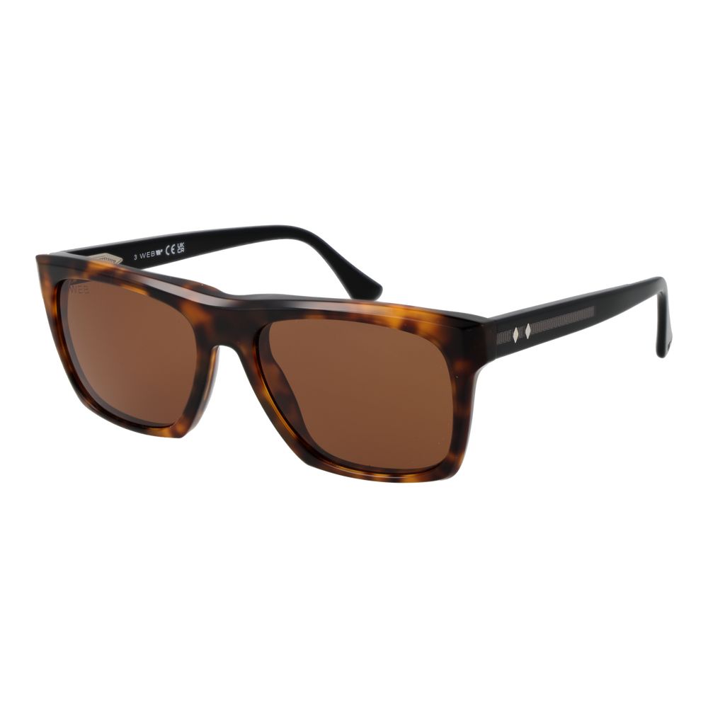 Web Brown Acetate Men's Sunglasses