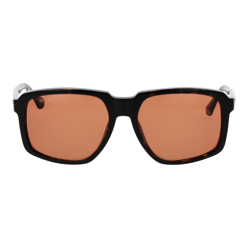 Web Brown Acetate Men's Sunglasses