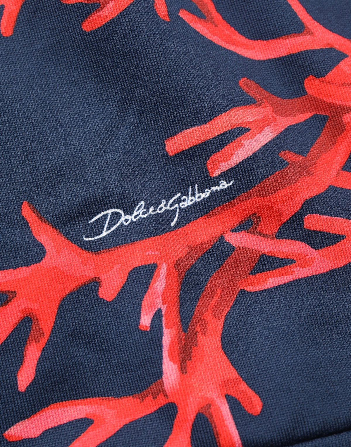 Dolce & Gabbana Blue Cotton Coral Logo Hooded Sweatshirt Men's Sweater