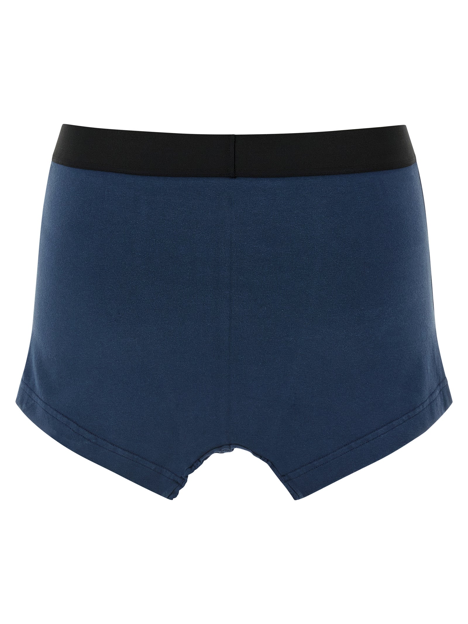 Balenciaga Blue Cotton Long Women's Skirt