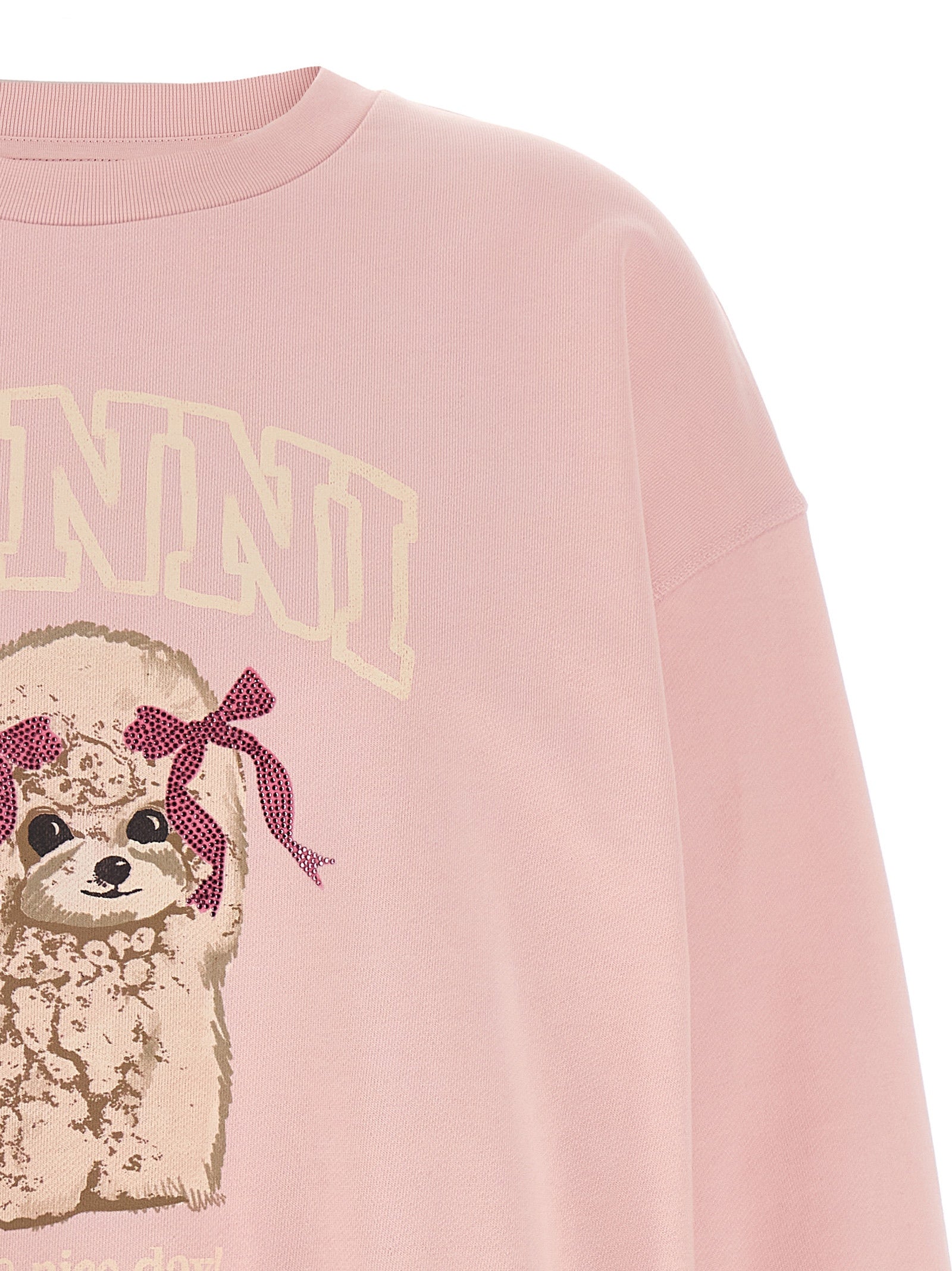 Ganni Multicolor Organic Cotton Women's Sweatshirt