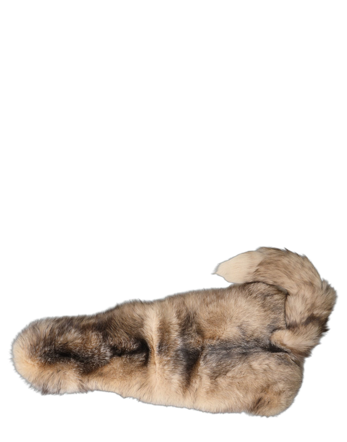 Dolce & Gabbana Brown Frost Fox Fur Neck Warmer Winter Women's Scarf