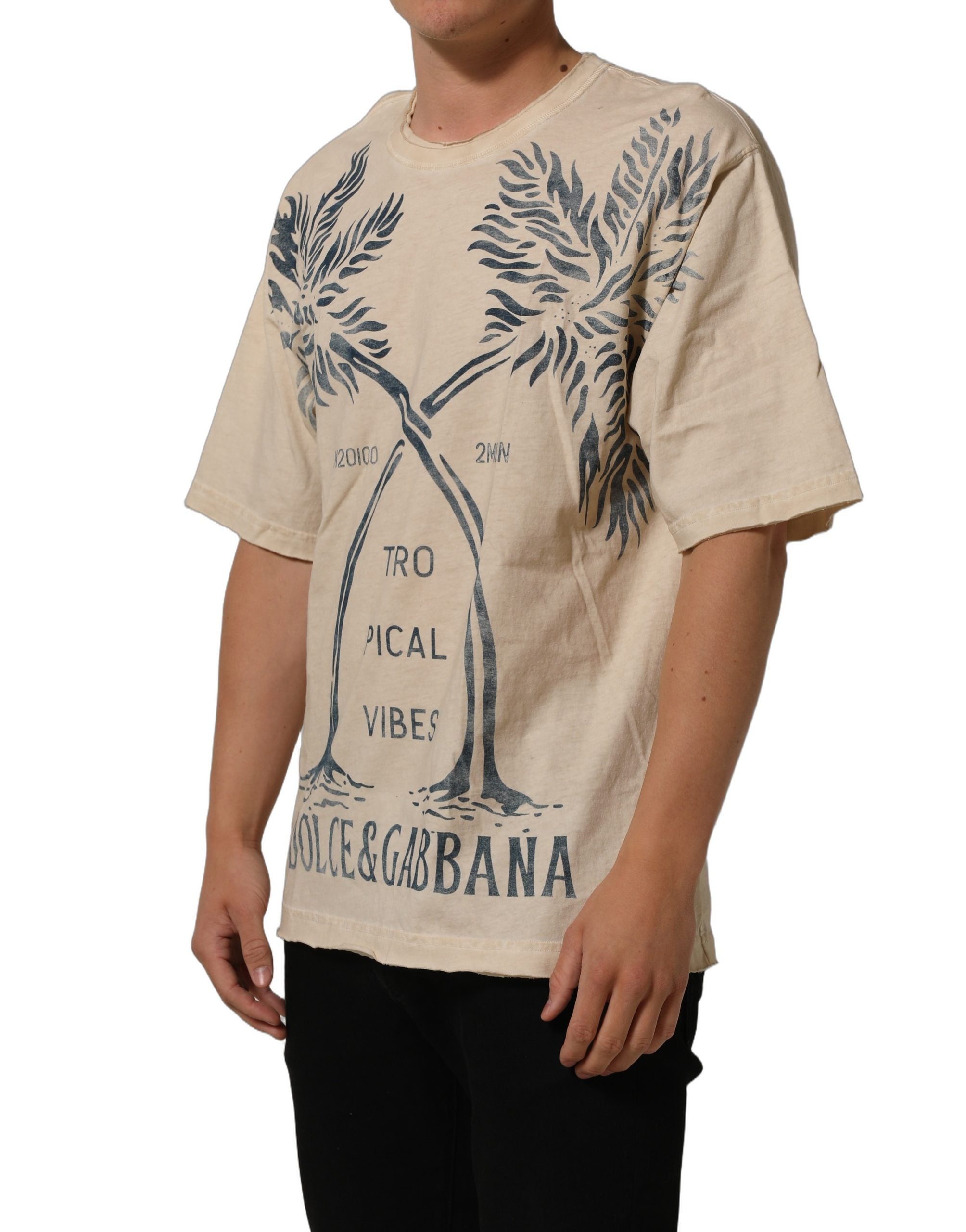Dolce & Gabbana Beige Cotton Graphic Print Crew Neck Men's T-shirt (Pre-Owned)
