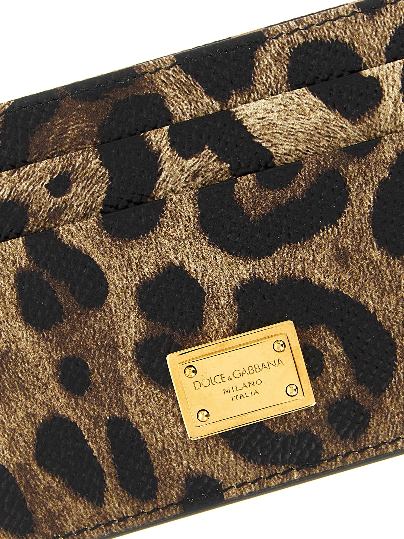 Dolce & Gabbana Multicolor Calfskin Women's Cardholder