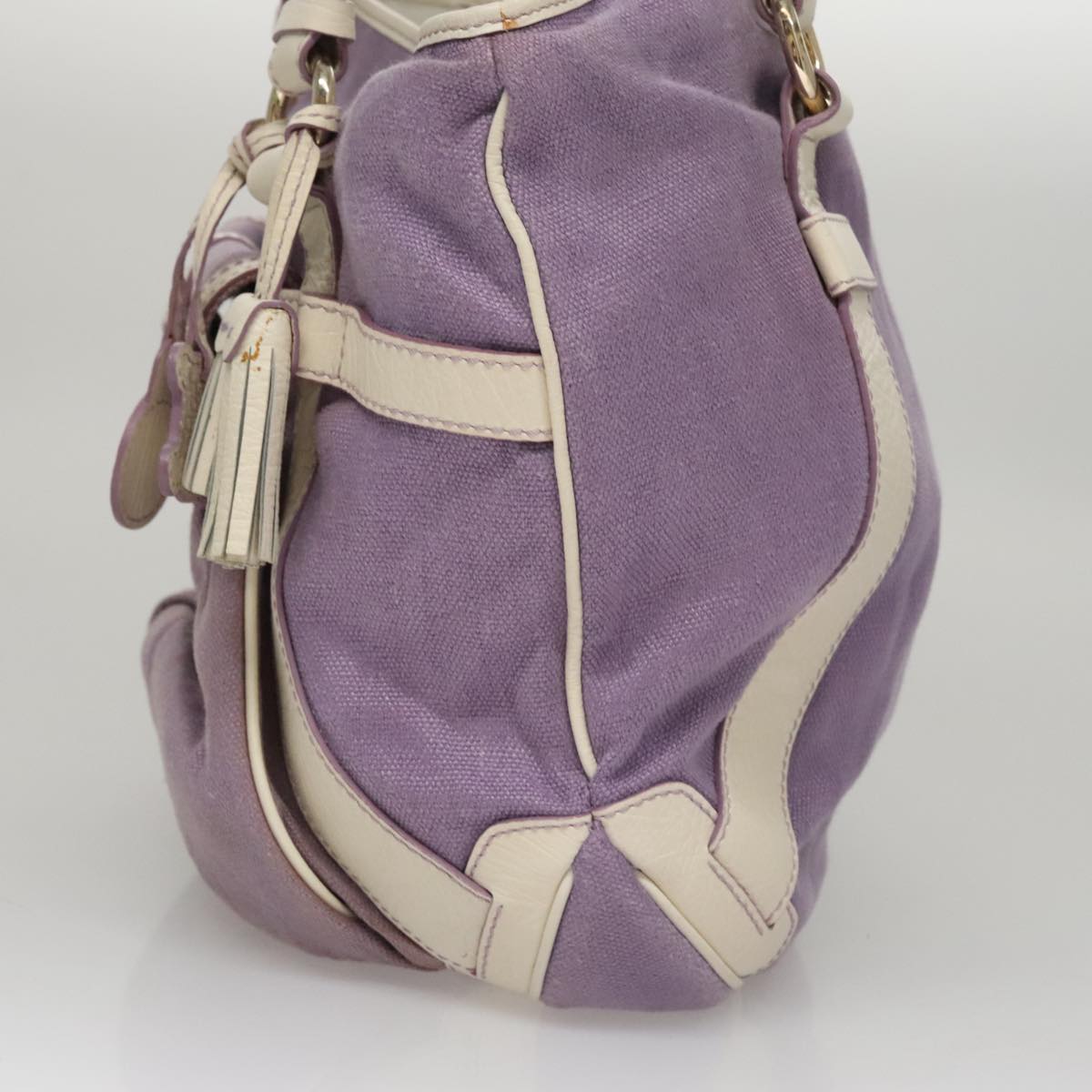 Céline Purple Canvas Tote Bag (Pre-Owned)