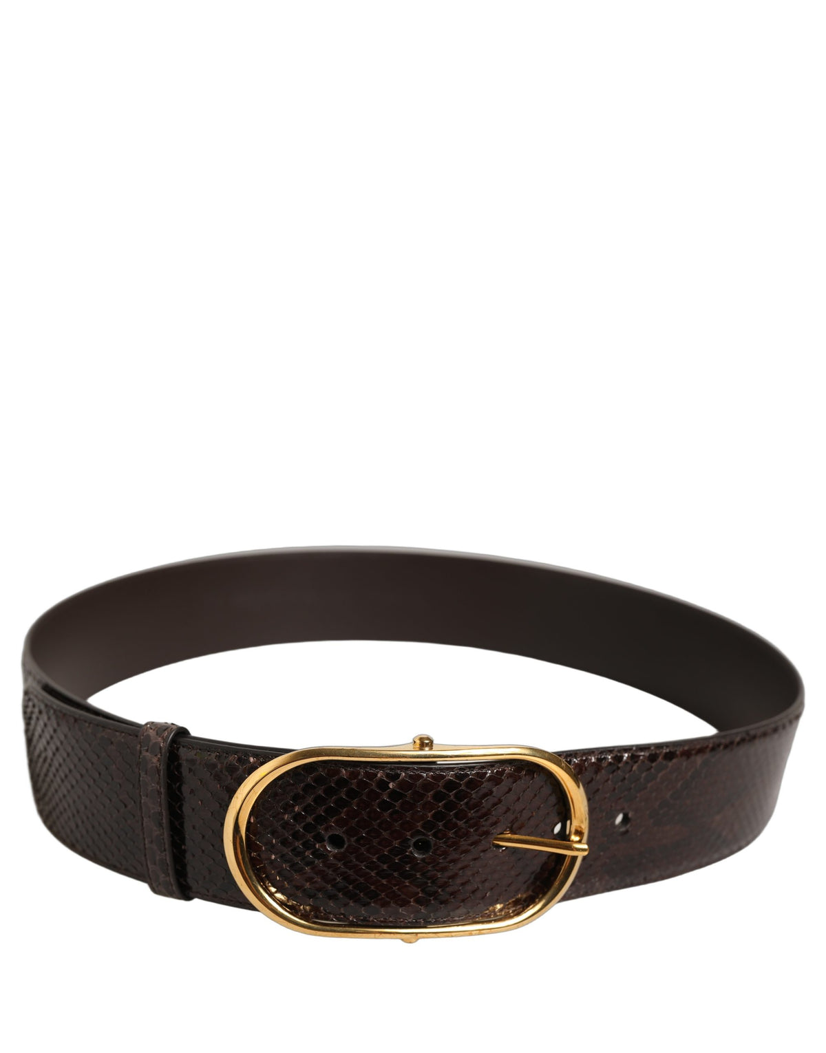 Dolce & Gabbana Brown Python Leather Gold Metal Buckle Women's Belt