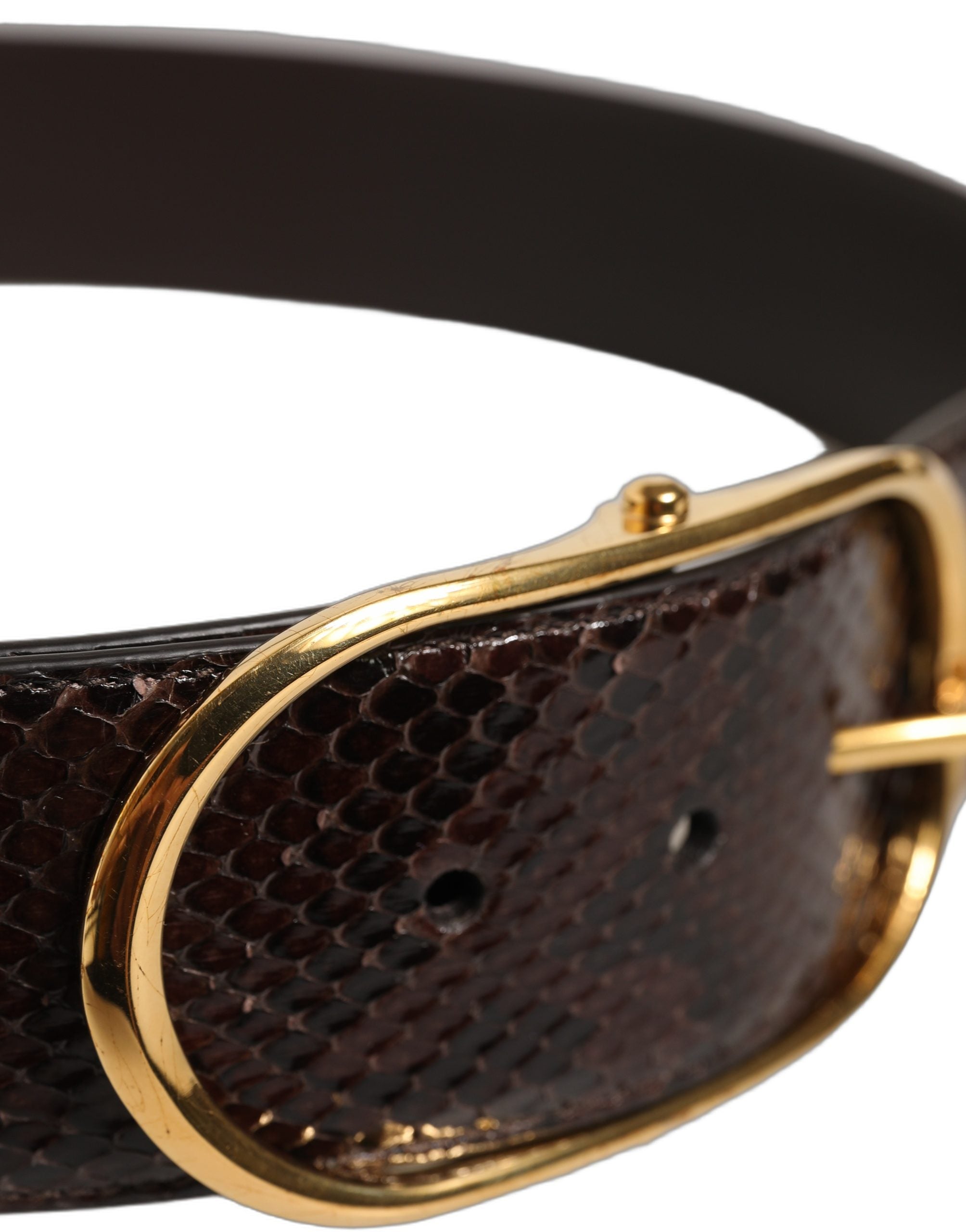 Dolce & Gabbana Brown Python Leather Gold Metal Buckle Women's Belt