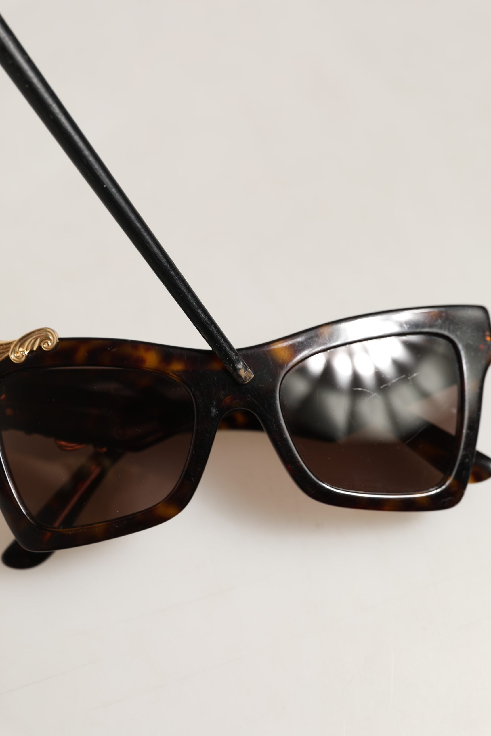 Dolce & Gabbana Brown DG4434 Accent Havana Acetate Frame Women's Sunglasses