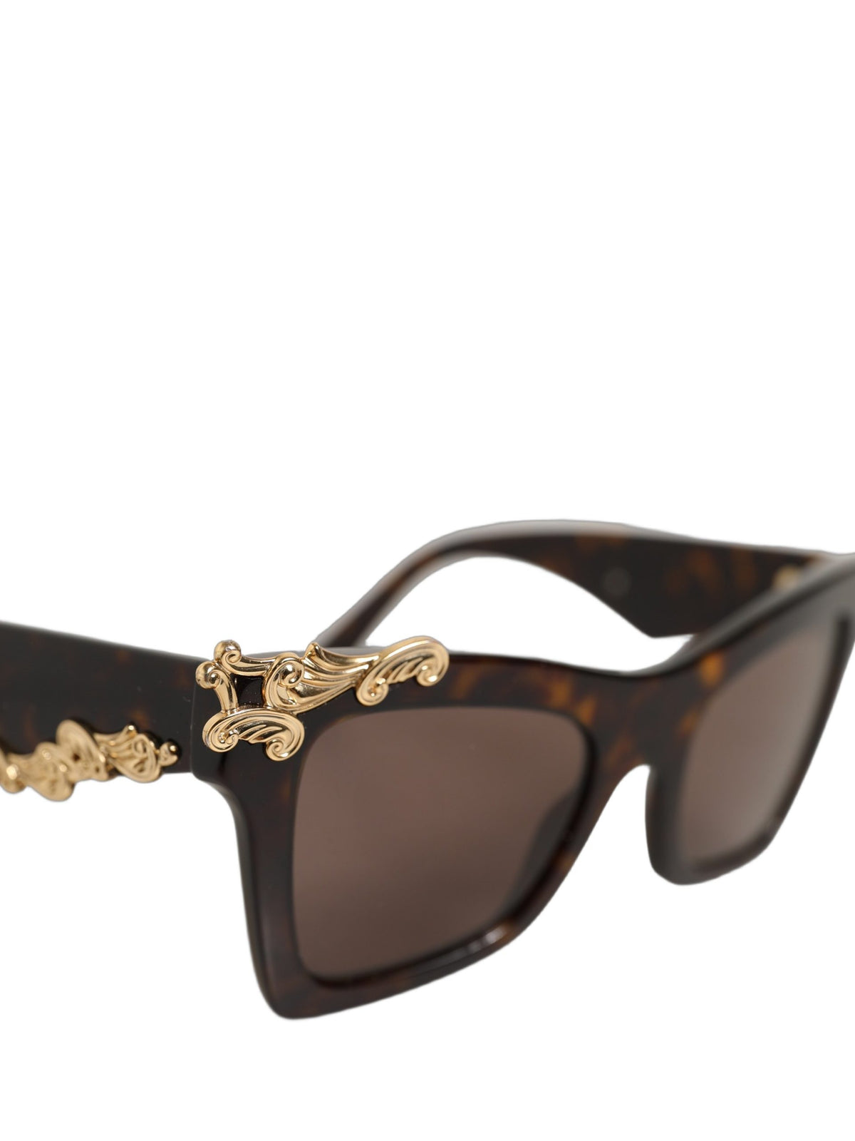 Dolce & Gabbana Brown DG4434 Accent Havana Acetate Frame Women's Sunglasses
