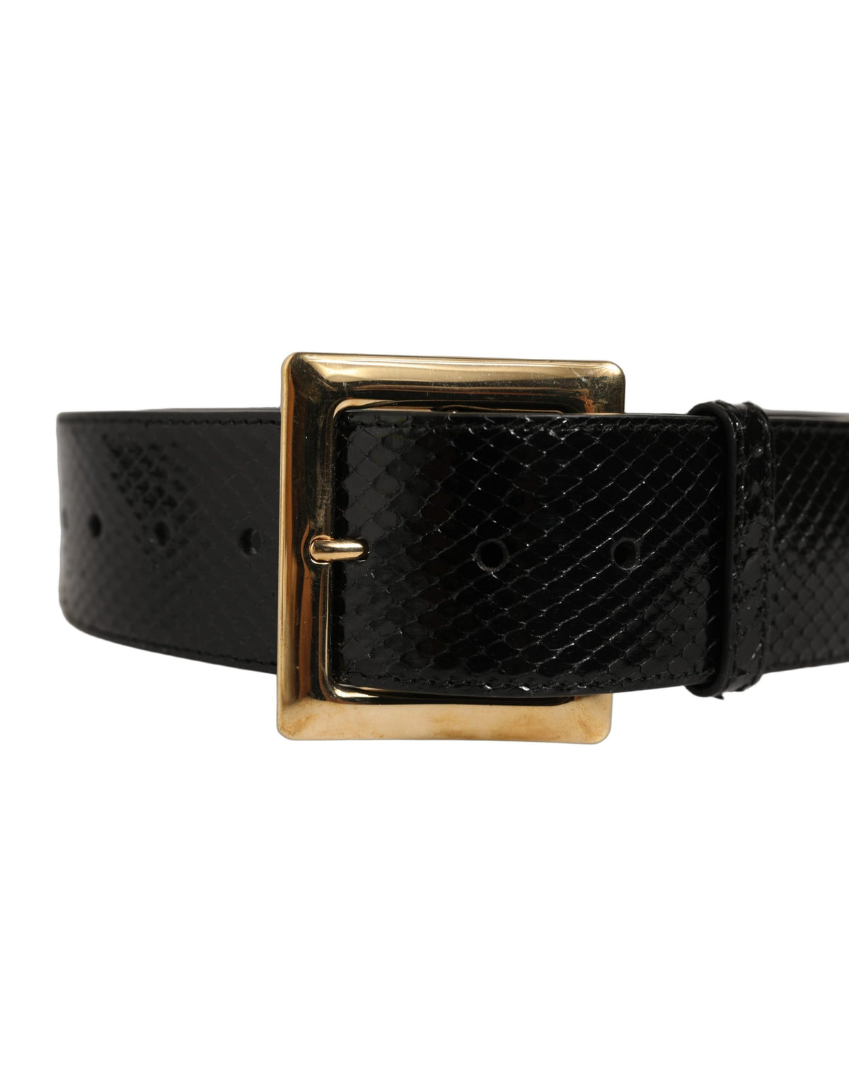 Dolce & Gabbana Black Exotic Leather Gold Metal Buckle Women's Belt (Pre-Owned)