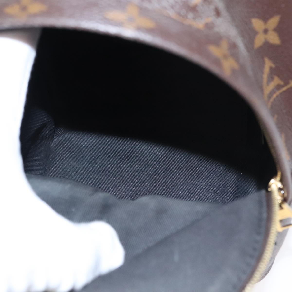 Louis Vuitton Palm Springs Mini Brown Canvas Backpack Bag (Pre-Owned)