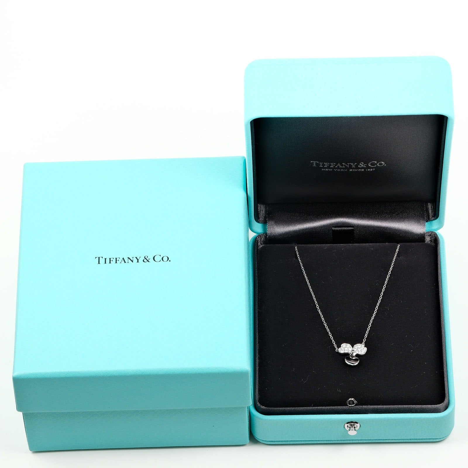 Tiffany & Co Paper Flowers Silver Platinum Necklace Jewelry (Pre-Owned)