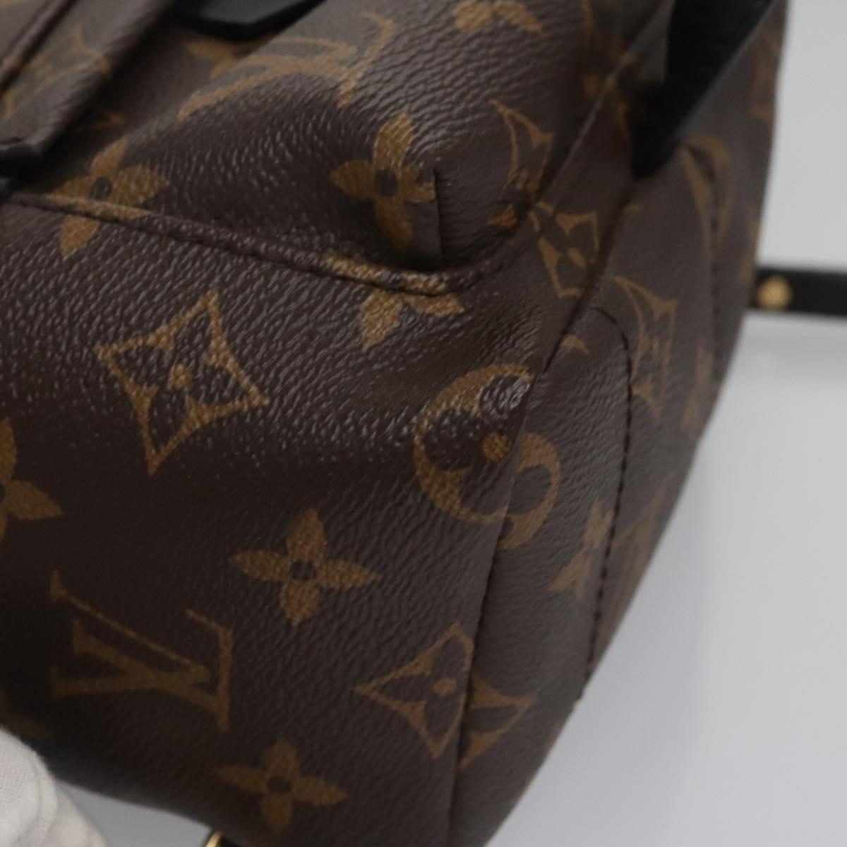 Louis Vuitton Palm Springs Brown Canvas Backpack Bag (Pre-Owned)