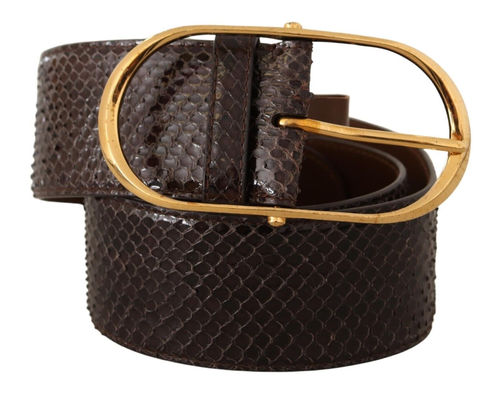 Dolce & Gabbana Elegant Python Leather Belt with Gold Women's Buckle