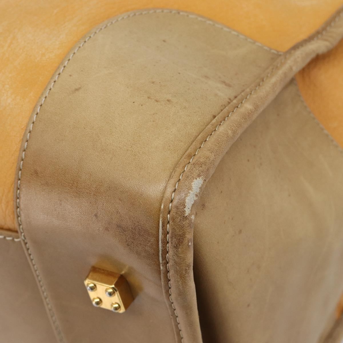 Loewe Amazona Leather Beige Leather Handbag (Pre-Owned)