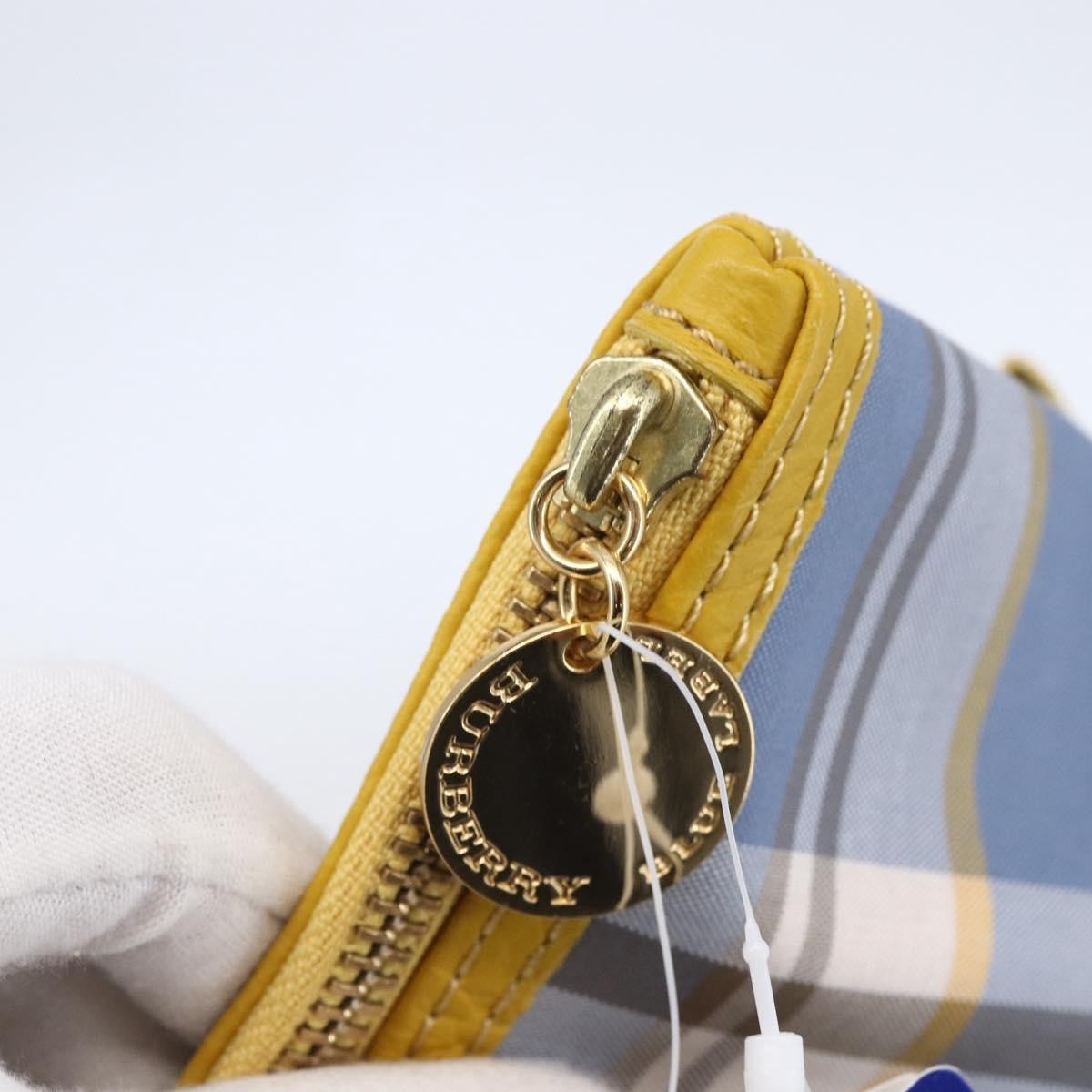 Burberry Nova Check Pochette Canvas Blue Canvas Clutche & Pouche Bag (Pre-Owned)