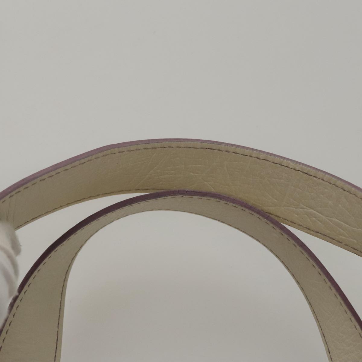 Céline Purple Canvas Tote Bag (Pre-Owned)