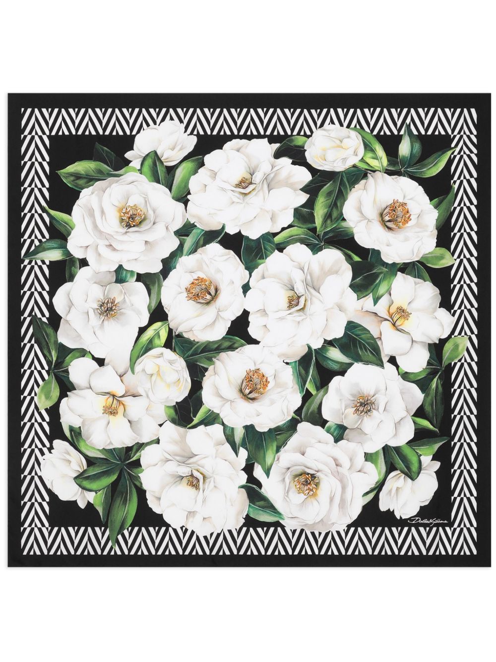 Dolce & Gabbana Women's Scarfs Black