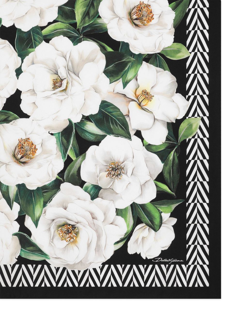 Dolce & Gabbana Women's Scarfs Black