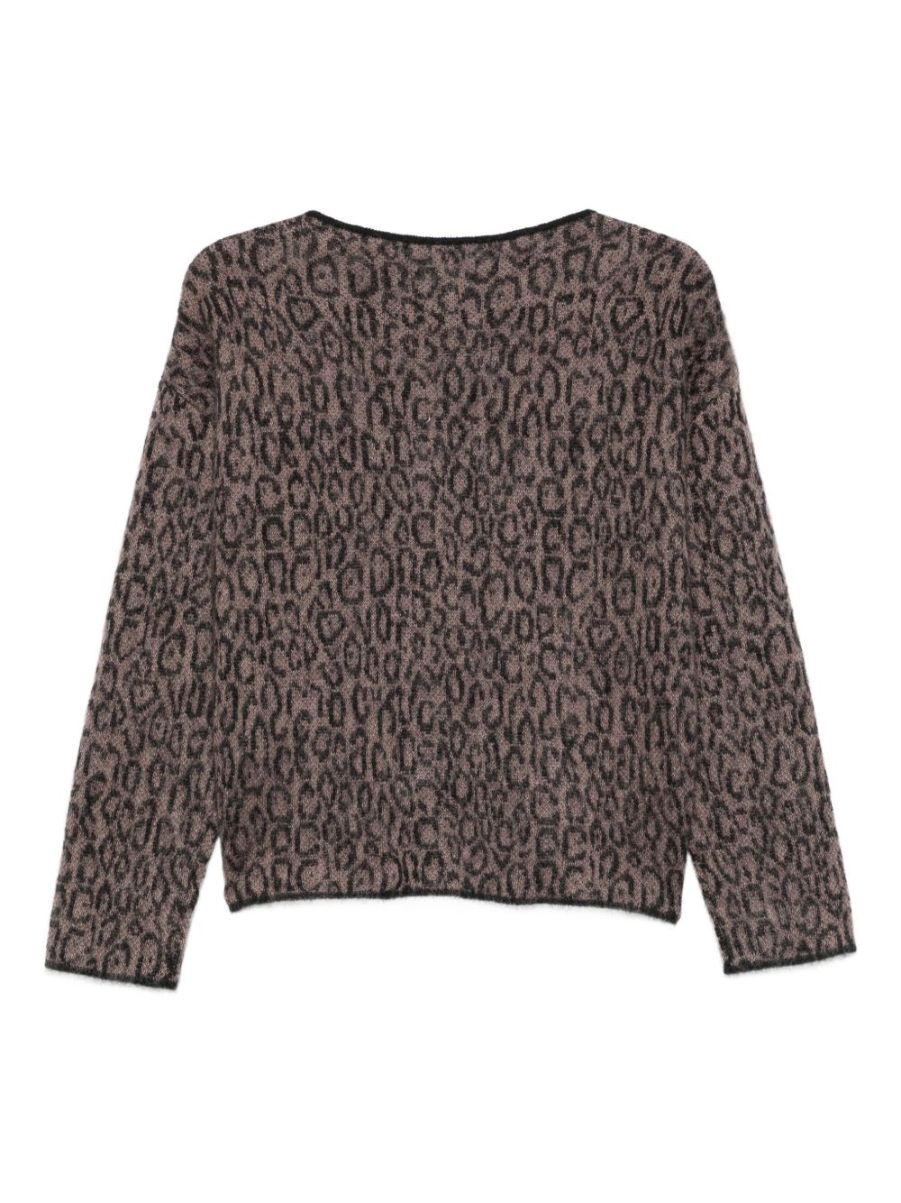 Emporio Armani Women's Leopard-Print Crew-Neck Sweater