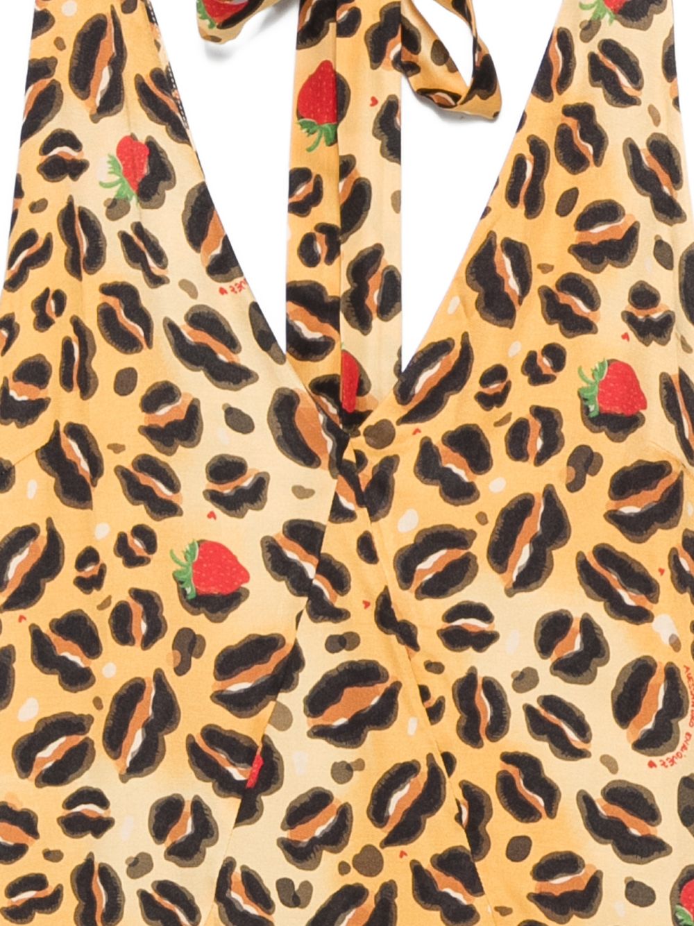 Alessandro Enriquez Women's V-Neck Printed Long Dress