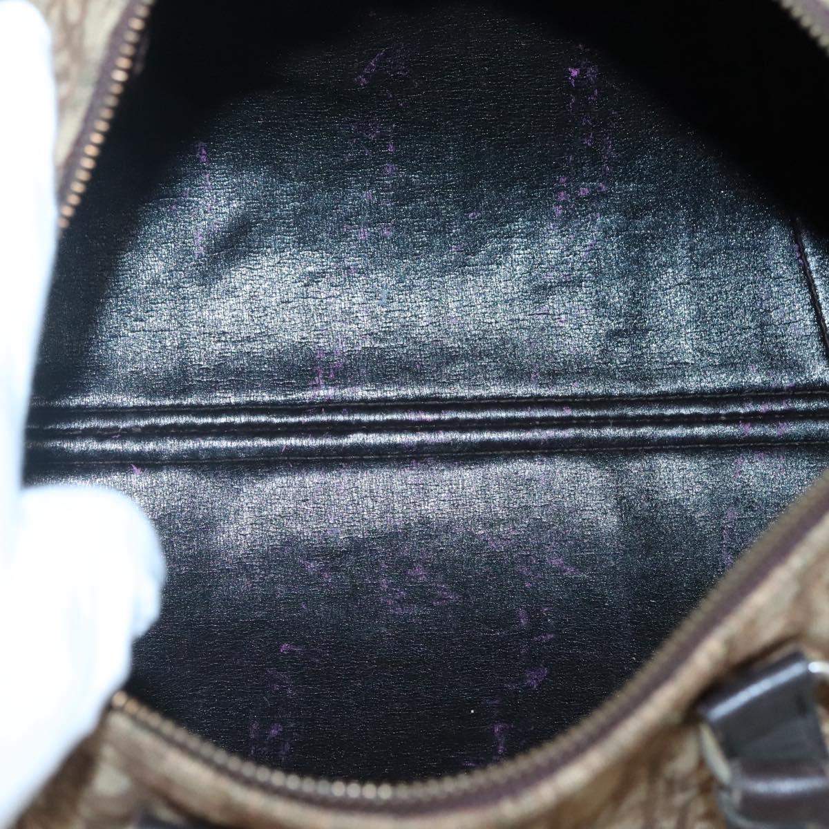 Dior Trotter Brown Canvas Travel Bag (Pre-Owned)