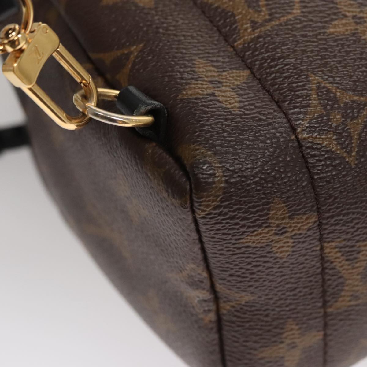 Louis Vuitton Palm Springs Mini Brown Canvas Backpack Bag (Pre-Owned)