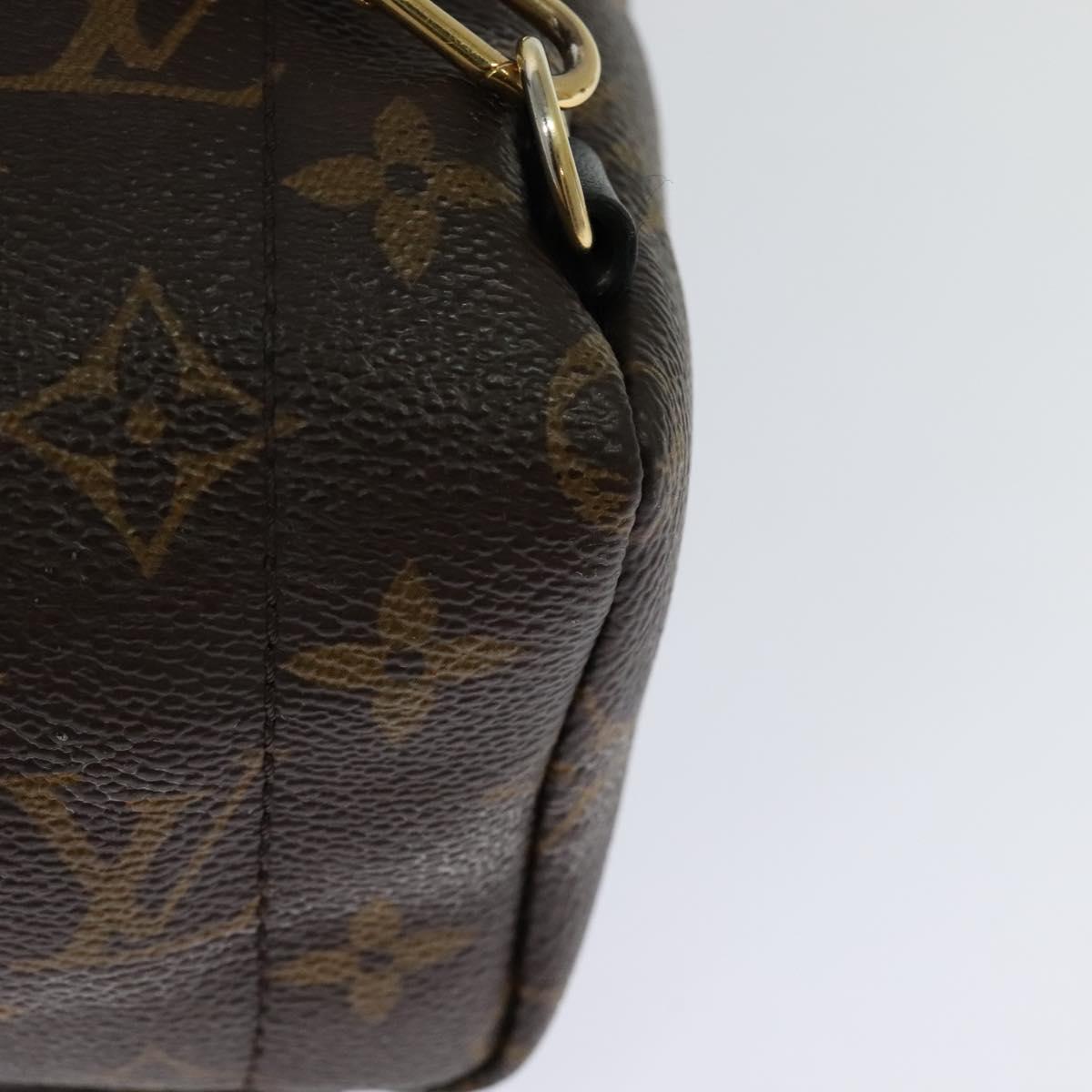 Louis Vuitton Palm Springs Mini Brown Canvas Backpack Bag (Pre-Owned)