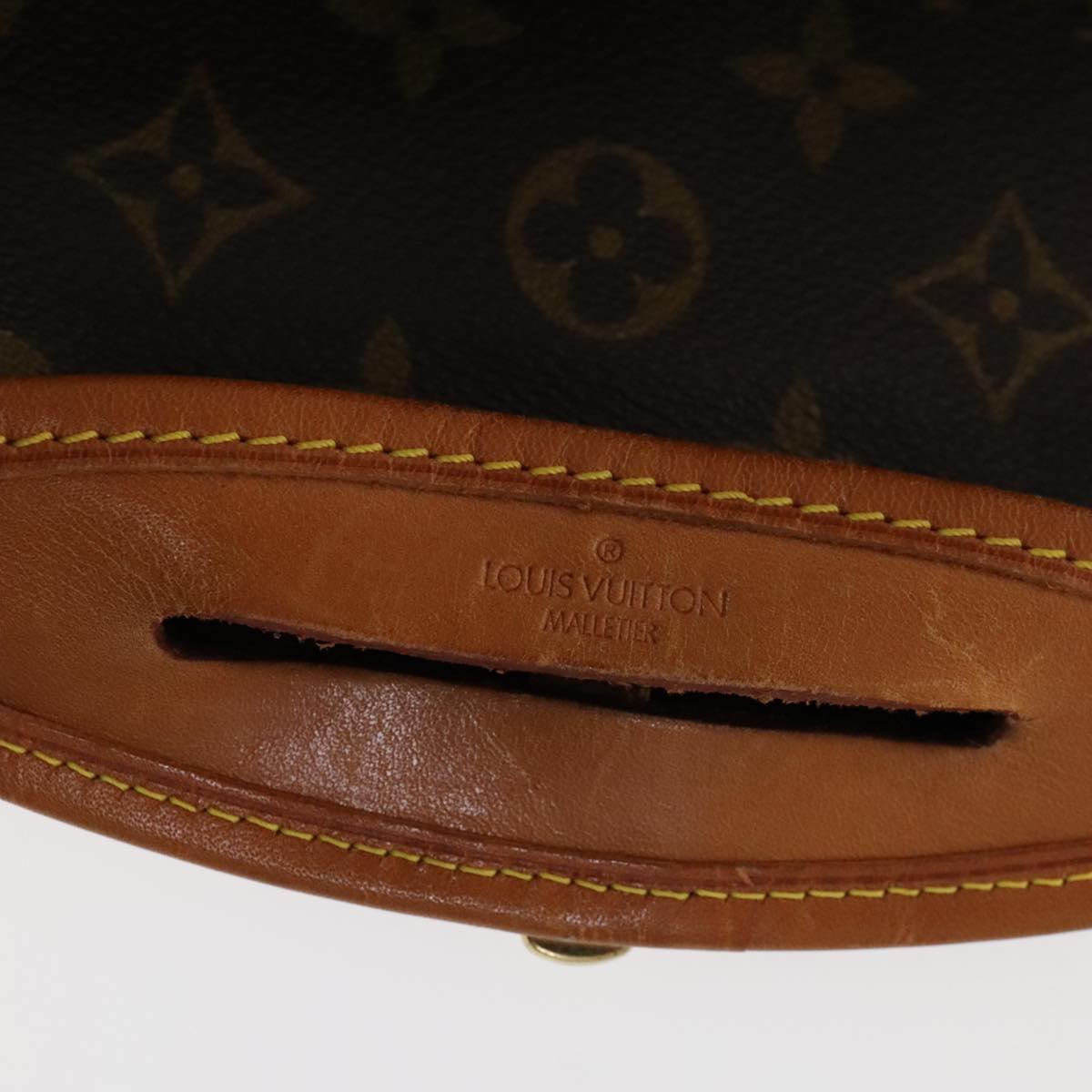 Louis Vuitton Garment Brown Canvas Travel Bag (Pre-Owned)