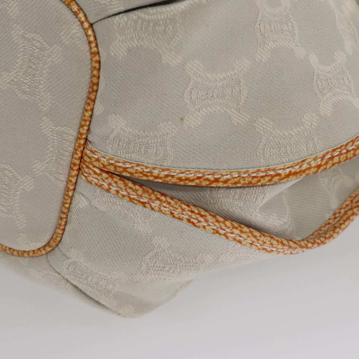 Céline Bittersweet Grey Canvas Handbag (Pre-Owned)