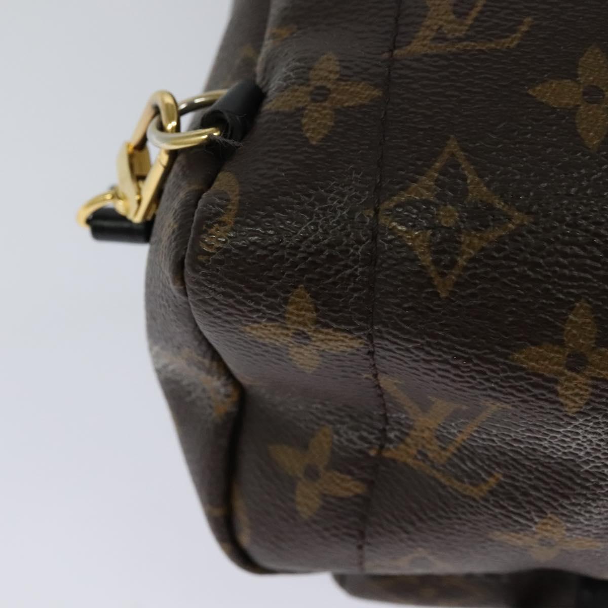 Louis Vuitton Palm Springs Mini Brown Canvas Backpack Bag (Pre-Owned)